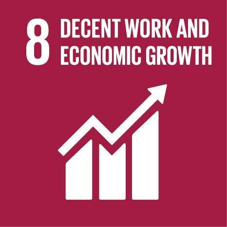 SDG 8