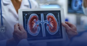 Medical team using digital kidney imaging, reflecting the integration of ambient AI scribes in nephrology workflows.