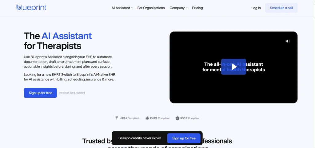 Blueprint therapy documentation platform